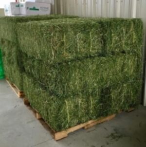  Timothy Alfalfa Hay  by  Kaybee Global Products Limited 