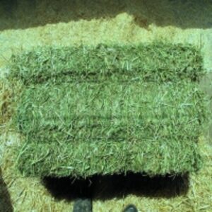  End Year Sale For Alfalfa Bales 