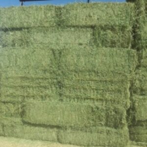  Wholesale Supply Alfalfa For Sale 
