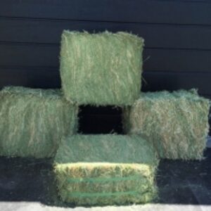 Quality Feeding Stuff Alfalfa by Kaybee Global Products Limited