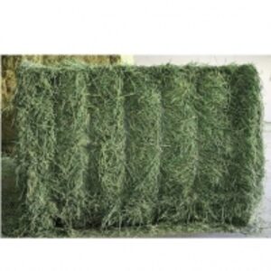 Best Quality Lucern Bales For Sale