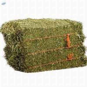 Best Grade Timothy Hay - Image 2