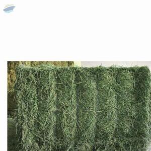 Best Grade Timothy Hay by  Kaybee Global Products Limited 