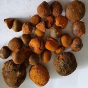 Cow Gallstones