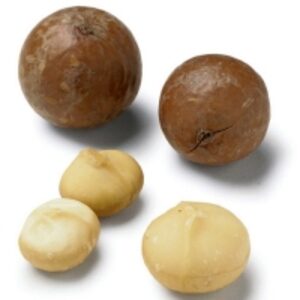 Grade 1 Raw Macadamia Nuts by  Kaybee Global Products Limited 