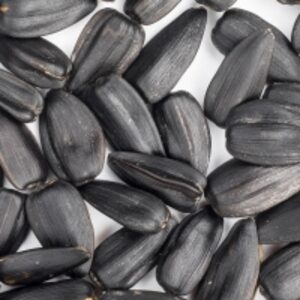 High Quality Sunflower Seeds by  Kaybee Global Products Limited 