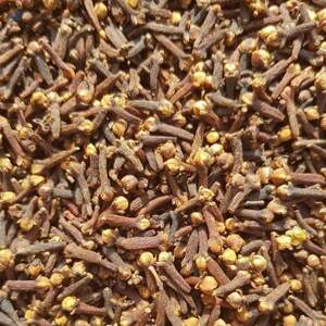 Mada Cloves by  Agri Post 
