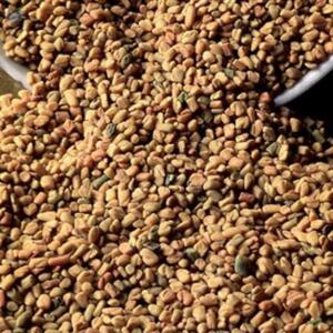 Fenugreek Seeds by  Agri Post 