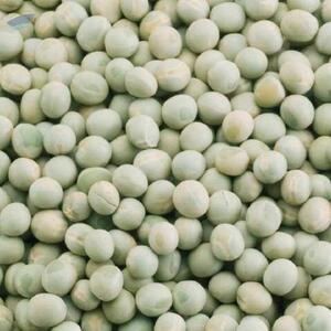 Green Peas by  Agri Post 
