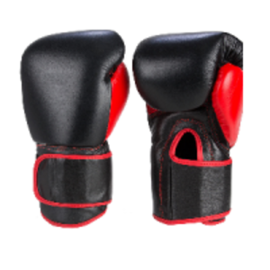 Boxing Gloves by  Fore Rank Four Sports 