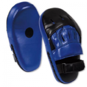 Focus Pads by Fore Rank Four Sports