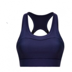 Fitness Bra by  Divestico Industry 