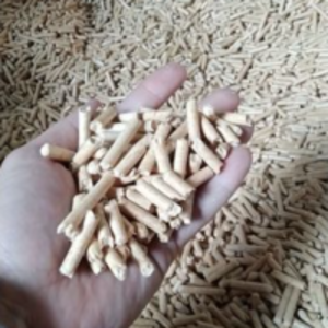 Wood Pellets by  Ecosyntesis 