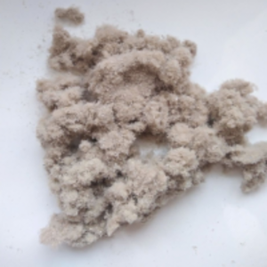 Occ Pulp by  Ecosyntesis 