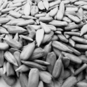 Organic Sunflower Seed Kernel by  Biocis SRL 