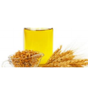 Wheat Germ Oil by  Rich Grace Export 