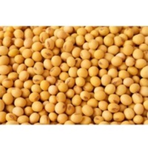 Soybean by  Granoterra 