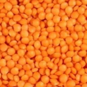 Decorticated Red Lentil by Globalized Import Export Corp.