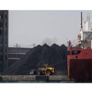 Petroleum Coke by  Green Tree Trading Company Llc 