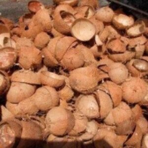  Coconut Shell  by  Jemilex Farms Company Limited 