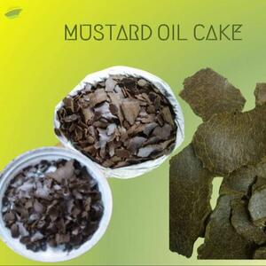 Mustard Oil Cake by  M.i. Feed Industries 