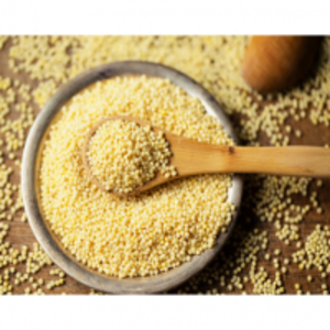 Foxtail Millet by  Bloomiere 