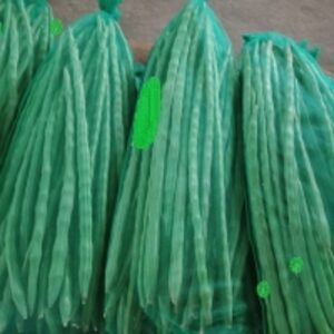 Drumsticks by  Diteya Global Impex Pvt. Ltd. 