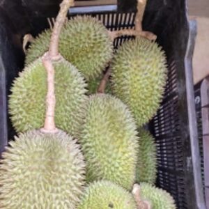 Fruits by  Diteya Global Impex Pvt. Ltd. 