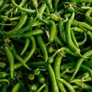 Green Chilli by  Diteya Global Impex Pvt. Ltd. 