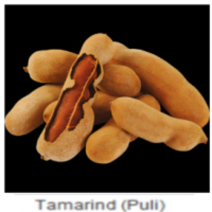 Tamarind by  Diteya Global Impex Pvt. Ltd. 
