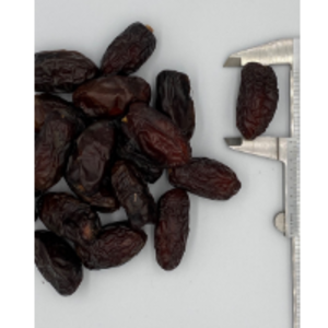  Safawai Dates GradeÃ¢Â 1 
