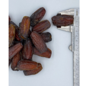  Mabroom DatesÃ¢Â Grade 1 