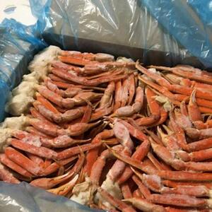 King Crab Legs Live Red Kind Crabs