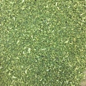 Chinese Scholar by Vietnam Nature Made Co., Ltd