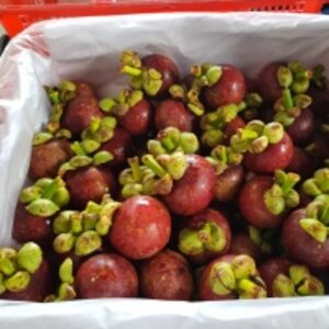 Super Mangosteen by  Pt. Surya Elok Sejahtera 