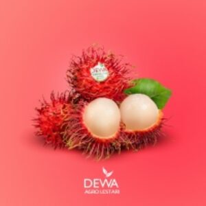 Rambutan by  CV. Dewa Agro Lestari 