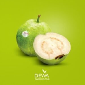 Crystal Guava by  CV. Dewa Agro Lestari 