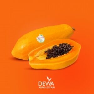 Papaya by CV. Dewa Agro Lestari