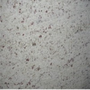 Amba White Granite by  Stonevault Exports India Pvt. Ltd. 