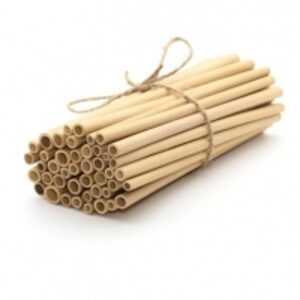 Bamboo Straws by  Ahgo Company Limited 