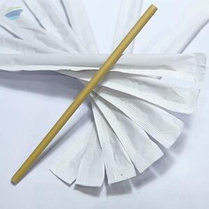  Eco Friendly Bamboo Straws 