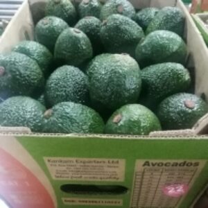 Hass Avocado by  Kankam Exporters Ltd 