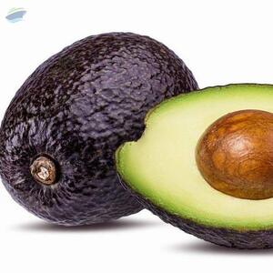 Hass Avocado by Signet Fruits And Vegetable Exporters