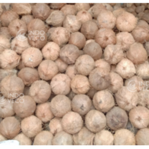 Coconut Semi Husked by Indoveco