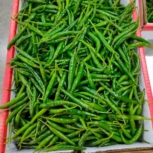 Green Chilly by  Dhole Patil Export 