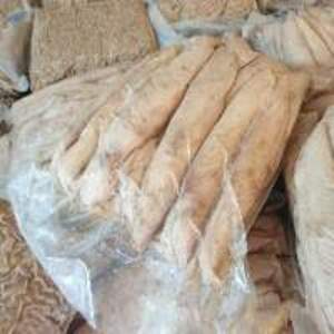 Frozen Tuna Loin - Image 2