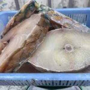 Frozen Parrot Fish - Image 2