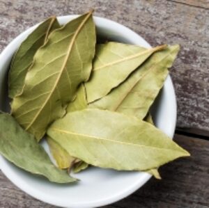  Bay Leaf 