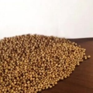 Coriander Peas by Alex - Group Ltd