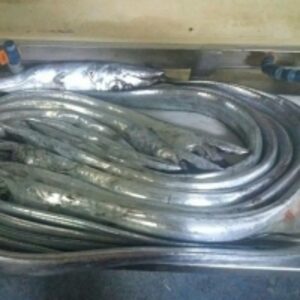 Ribbon Fish by  Aicha International Llc 